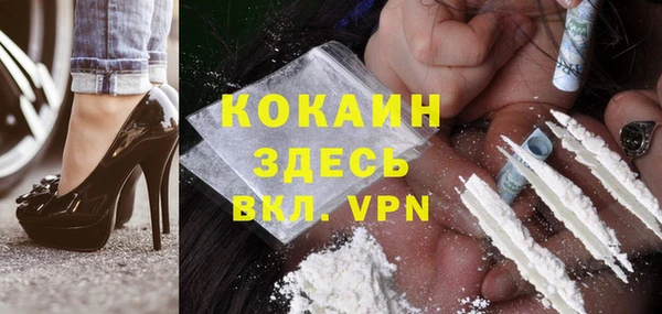 ешки Алзамай