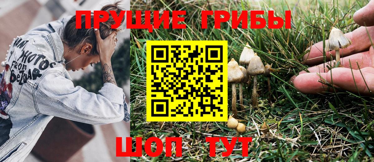 Мичуринск  Псилоцибиновые грибы прущие грибы  наркошоп  Вход с VPN  Псилоцибиновые грибы MAGIC MUSHROOMS 